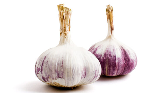 Reign of Glitter Tank