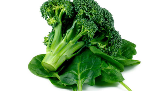 Franklin Wallet Brown